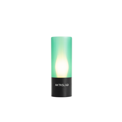 Gaia Lampe