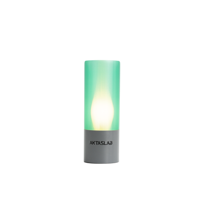 Gaia Lampe